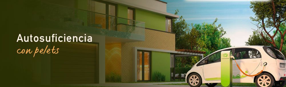 Caldera de pellets Easypell. Autosuficiencia con pellets.